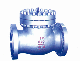 Pound level check valve